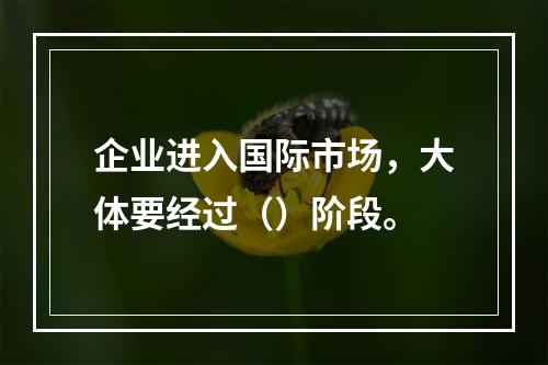 企业进入国际市场，大体要经过（）阶段。