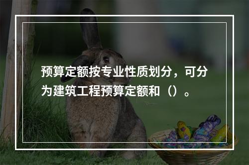 预算定额按专业性质划分，可分为建筑工程预算定额和（）。