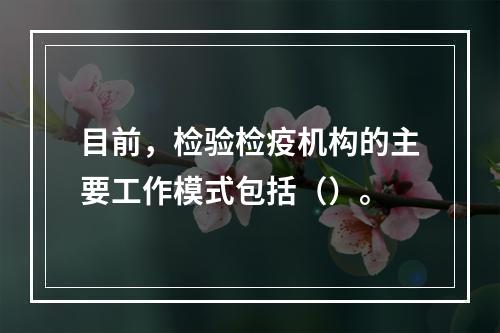 目前，检验检疫机构的主要工作模式包括（）。