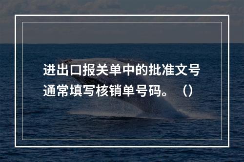 进出口报关单中的批准文号通常填写核销单号码。（）