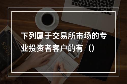 下列属于交易所市场的专业投资者客户的有（）