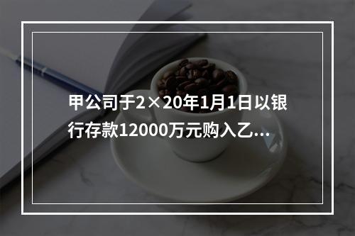 甲公司于2×20年1月1日以银行存款12000万元购入乙集团