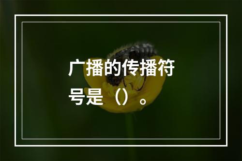 广播的传播符号是（）。