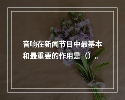 音响在新闻节目中最基本和最重要的作用是（）。