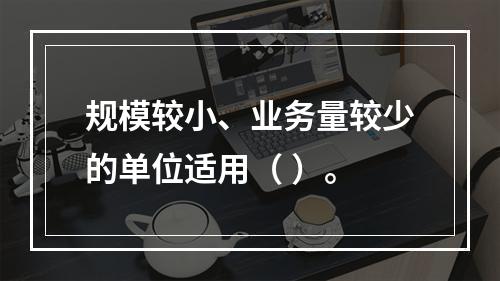 规模较小、业务量较少的单位适用（ ）。