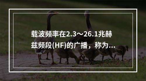 载波频率在2.3～26.1兆赫兹频段(HF)的广播，称为()