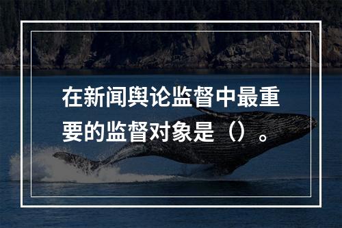 在新闻舆论监督中最重要的监督对象是（）。