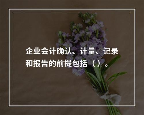 企业会计确认、计量、记录和报告的前提包括（ ）。