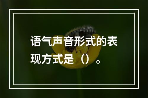 语气声音形式的表现方式是（）。