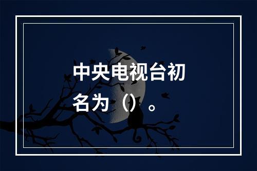 中央电视台初名为（）。