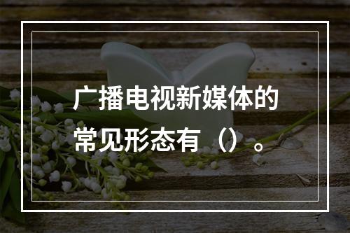 广播电视新媒体的常见形态有（）。