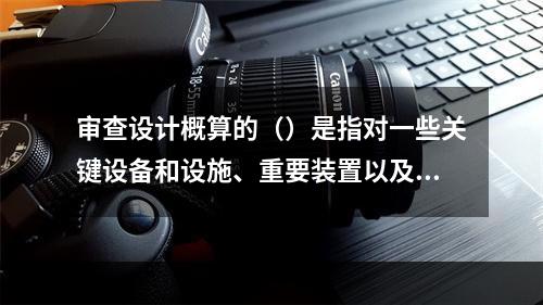 审查设计概算的（）是指对一些关键设备和设施、重要装置以及图纸