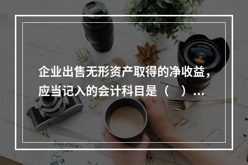 企业出售无形资产取得的净收益，应当记入的会计科目是（　）。