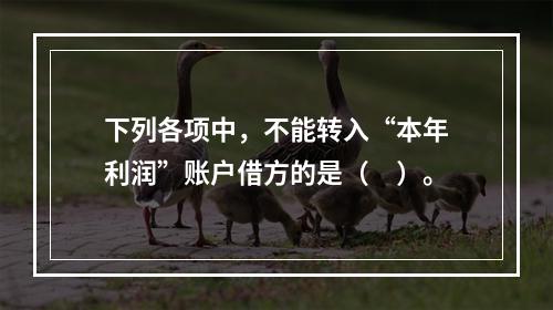 下列各项中，不能转入“本年利润”账户借方的是（　）。