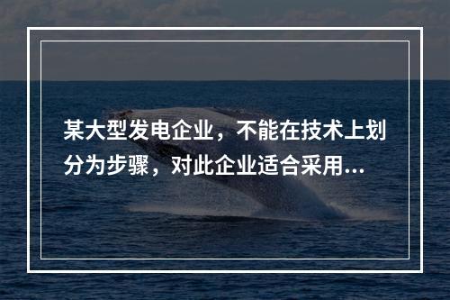 某大型发电企业，不能在技术上划分为步骤，对此企业适合采用的成