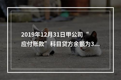 2019年12月31日甲公司“应付账款”科目贷方余额为300