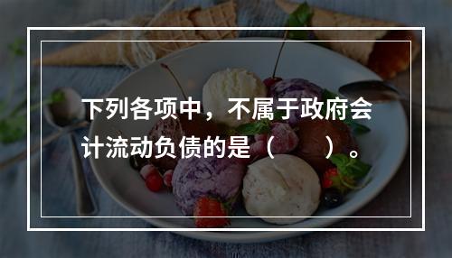 下列各项中，不属于政府会计流动负债的是（　　）。