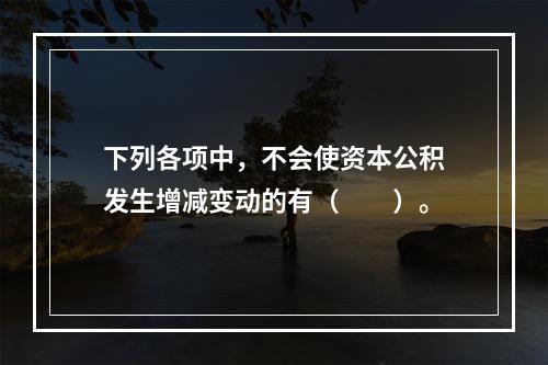 下列各项中，不会使资本公积发生增减变动的有（　　）。