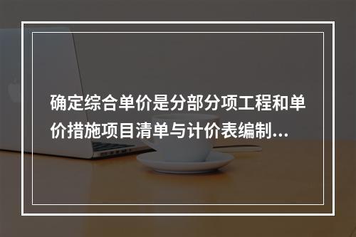 确定综合单价是分部分项工程和单价措施项目清单与计价表编制过程