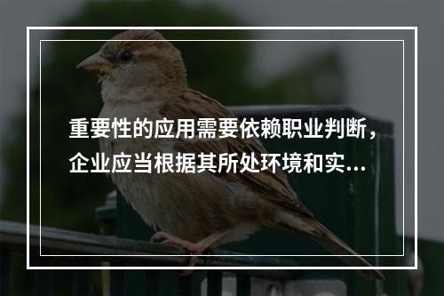 重要性的应用需要依赖职业判断，企业应当根据其所处环境和实际情