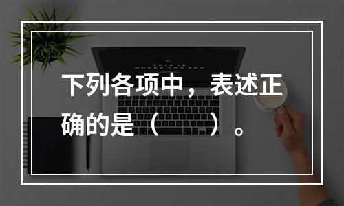 下列各项中，表述正确的是（　　）。