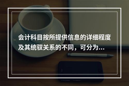 会计科目按所提供信息的详细程度及其统驭关系的不同，可分为（