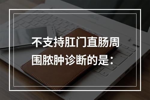 不支持肛门直肠周围脓肿诊断的是：