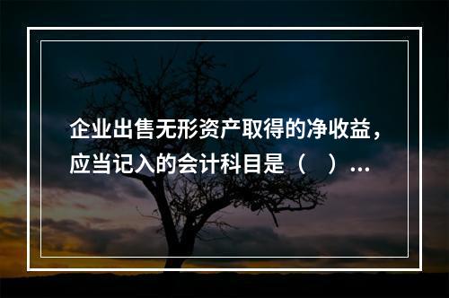 企业出售无形资产取得的净收益，应当记入的会计科目是（　）。