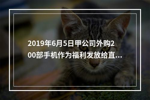 2019年6月5日甲公司外购200部手机作为福利发放给直接从