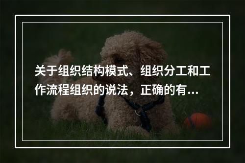 关于组织结构模式、组织分工和工作流程组织的说法，正确的有（　