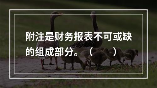 附注是财务报表不可或缺的组成部分。（　　）