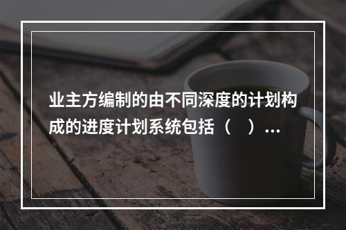 业主方编制的由不同深度的计划构成的进度计划系统包括（　）。