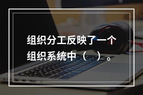 组织分工反映了一个组织系统中（　）。