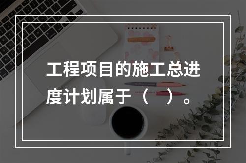 工程项目的施工总进度计划属于（　）。