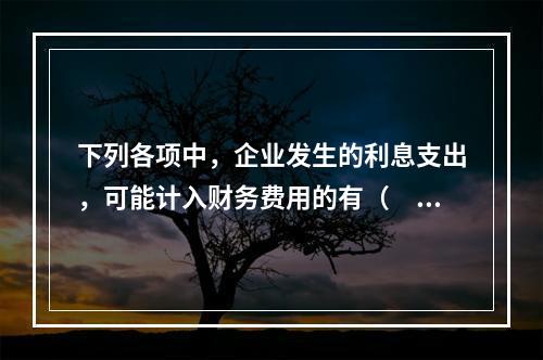 下列各项中，企业发生的利息支出，可能计入财务费用的有（　）。