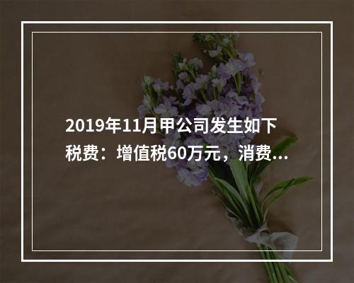 2019年11月甲公司发生如下税费：增值税60万元，消费税8