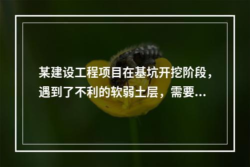 某建设工程项目在基坑开挖阶段，遇到了不利的软弱土层，需要进行