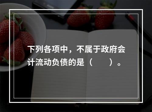 下列各项中，不属于政府会计流动负债的是（　　）。