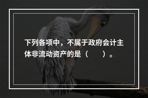 下列各项中，不属于政府会计主体非流动资产的是（　　）。