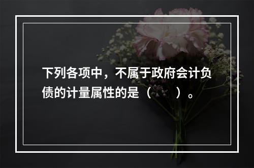 下列各项中，不属于政府会计负债的计量属性的是（　　）。