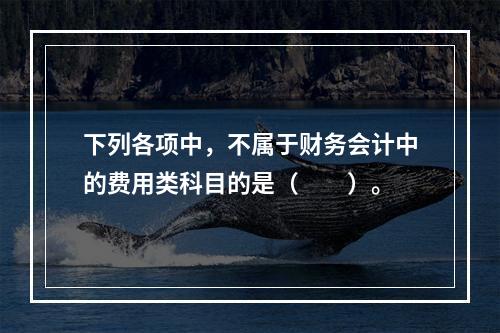 下列各项中，不属于财务会计中的费用类科目的是（　　）。