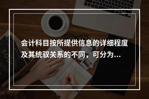 会计科目按所提供信息的详细程度及其统驭关系的不同，可分为（