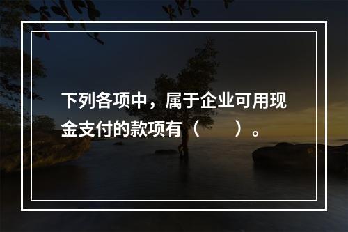 下列各项中，属于企业可用现金支付的款项有（　　）。