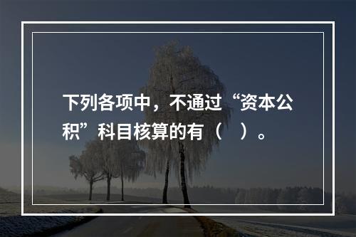 下列各项中，不通过“资本公积”科目核算的有（　）。