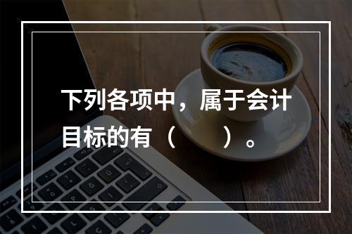 下列各项中，属于会计目标的有（　　）。