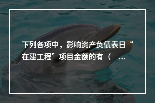 下列各项中，影响资产负债表日“在建工程”项目金额的有（　　）