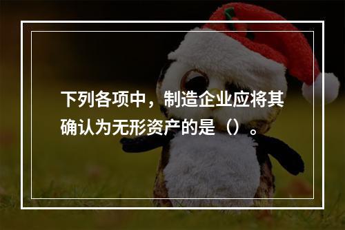 下列各项中，制造企业应将其确认为无形资产的是（）。