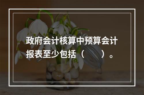 政府会计核算中预算会计报表至少包括（　　）。