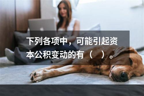 下列各项中，可能引起资本公积变动的有（　）。