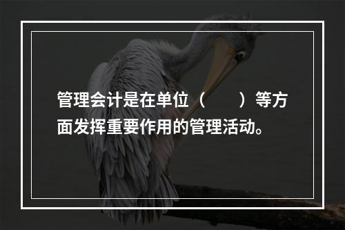 管理会计是在单位（　　）等方面发挥重要作用的管理活动。